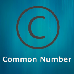 Juwai Teer Common Numbers